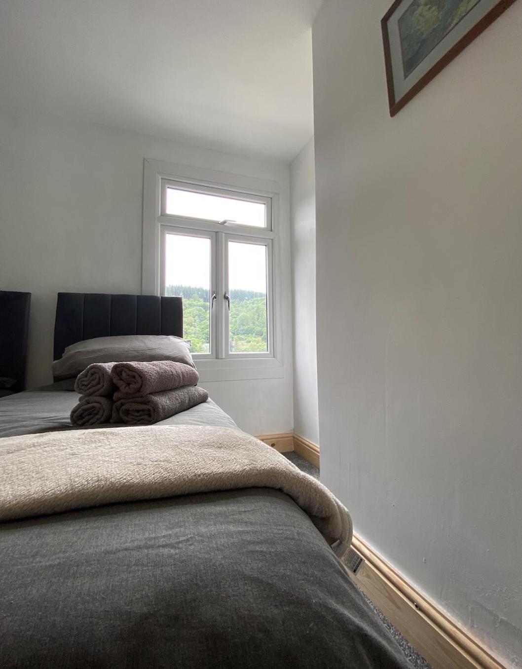 Brynhyfryd Cottage Aberaman エクステリア 写真